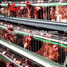 Layer Poultry Cages For Kenya Farms